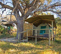 Exterior view of tent