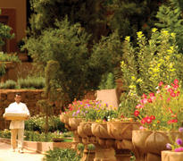 Gardens