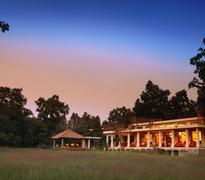 Mahua Kothi