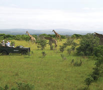Game drives
