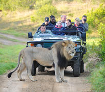 Game drives
