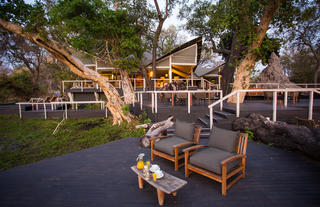 Abu Camp - Botswana