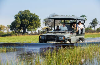 Abu Camp - Botswana