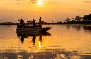 Abu Camp - Botswana