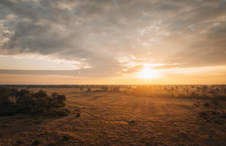 Wilderness Chitabe