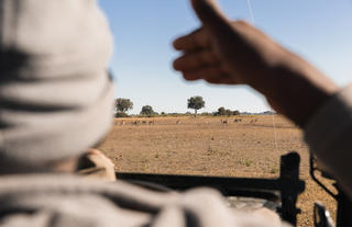 Wilderness Chitabe Lediba