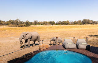 Wilderness Chitabe Lediba