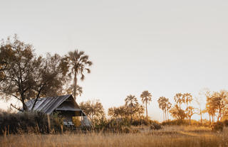 Wilderness Chitabe Lediba
