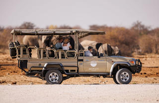 safari