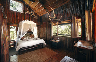 Bushwillow