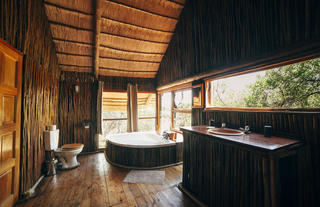 Bushwillow