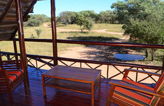 Bushwillow