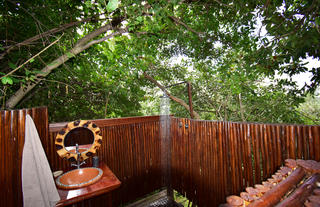 Bushwillow