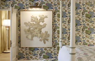 Water Lilly Suite