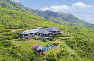 Camellia Hills