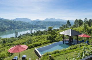 Camellia Hills