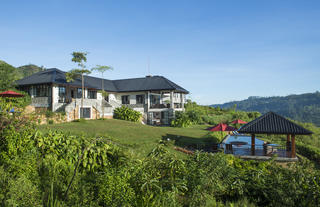 Camellia Hills