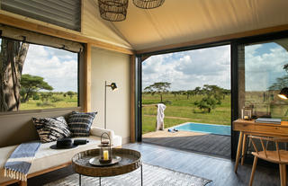 Standard Suite