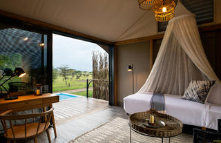Standard Suite