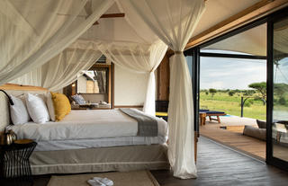Standard Suite