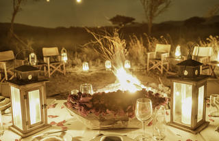 Romantic Bush Dinner