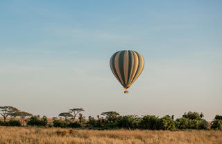 Breathtaking Balloon Adventure Over the Wild