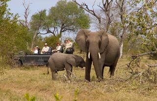Dulini - Game Drives