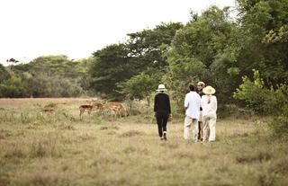 andBeyond Phinda Rock Lodge