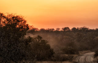 Plains Camp @ Rhino Walking Safaris - Kruger - Scenic