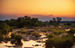 Plains Camp @ Rhino Walking Safaris - Kruger - Scenic