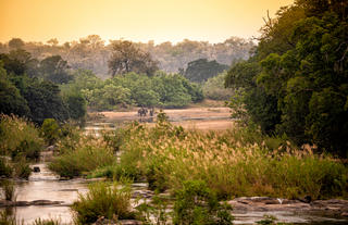 Plains Camp @ Rhino Walking Safaris - Kruger - Scenic