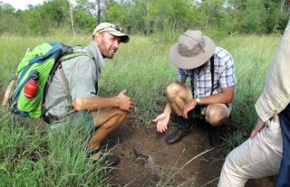 Plains Camp @ Rhino Walking Safaris - Walking Safaris