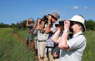 Plains Camp @ Rhino Walking Safaris - Walking Safaris