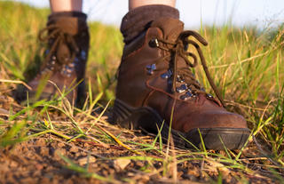 Plains Camp @ Rhino Walking Safaris - Walking Safaris