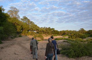 Plains Camp @ Rhino Walking Safaris - Walking Safaris