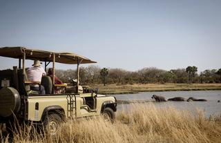 Game drives in Katavi