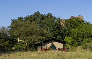 Tents