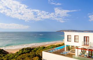 Blue Wing with Plettenberg