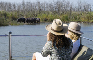 Boat Safari
