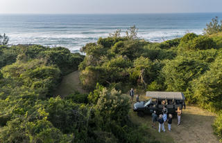 Beach Safari