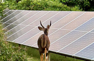 Solar Safari Lodge