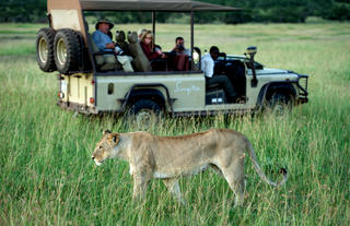 Singita Grumeti