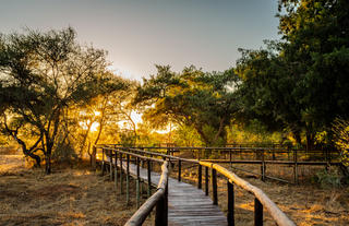Pafuri Camp - Walkways