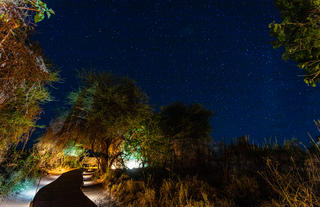 Pafuri Camp - Walkway