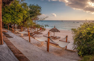 Beach Bar Swings