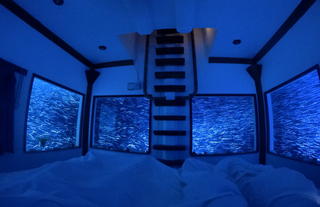 Underwater Room - Fish