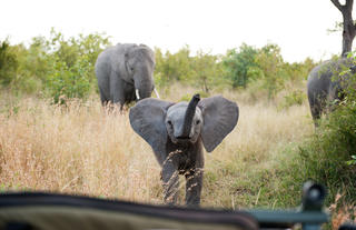 Singita Boulders Lodge