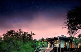 Ngala Tented Camp Tented Suite