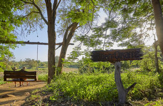Motswari Private Game Reserve | Paul Geiger Bench