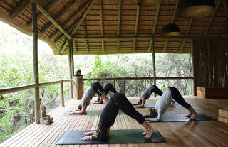 Yoga at Londolozi
